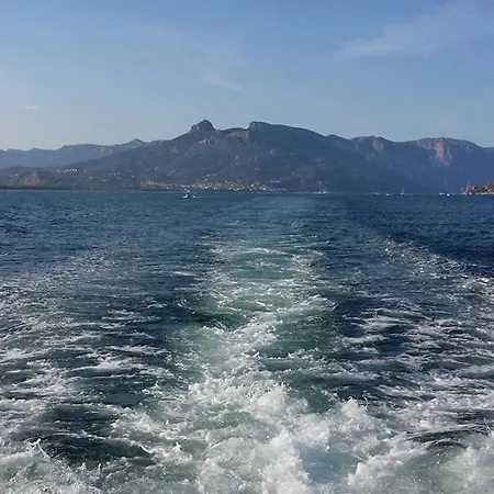 Charter Yacht Full Day Botel