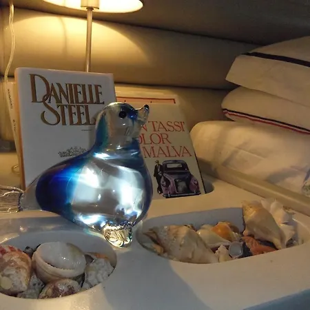 Charter Yacht Full Day Botel *